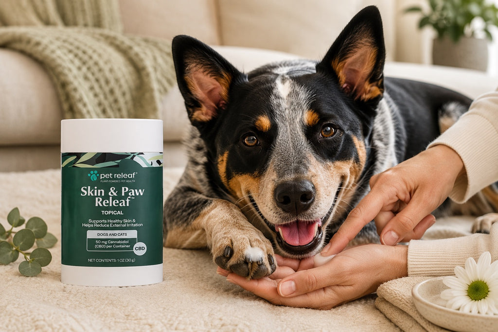 Skin & Paw Releaf CBD Topical for Dogs & Cats – 1 oz